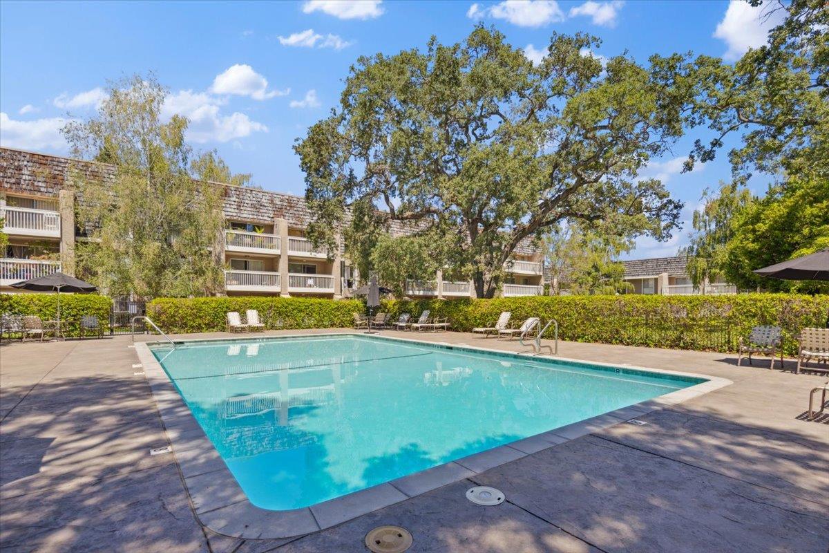 675 Sharon Park DR 313