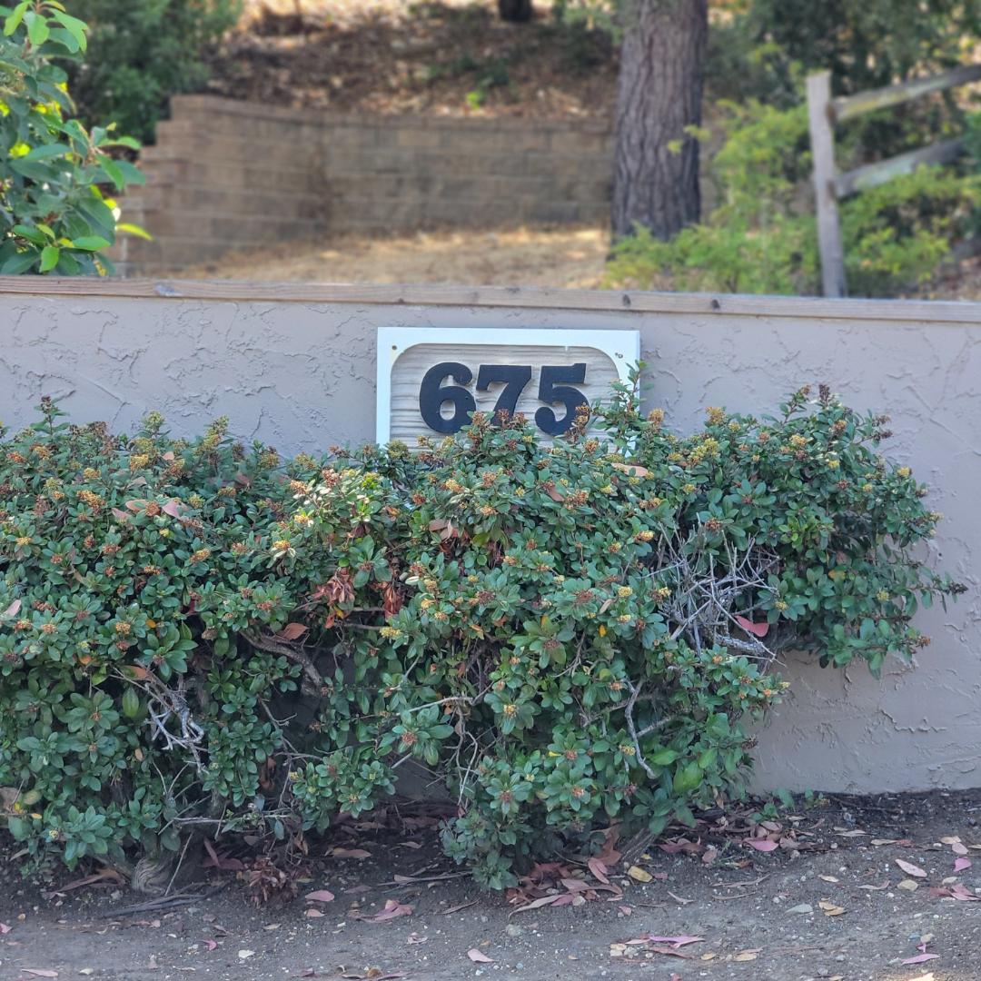 675 Sharon Park DR 313