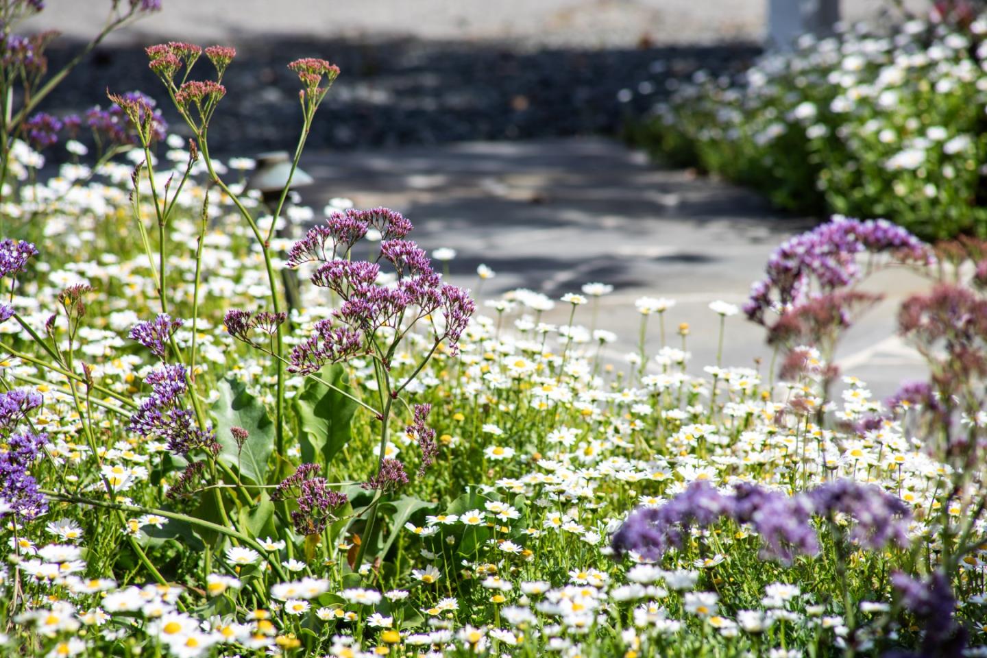 384 Hawthorne Avenue