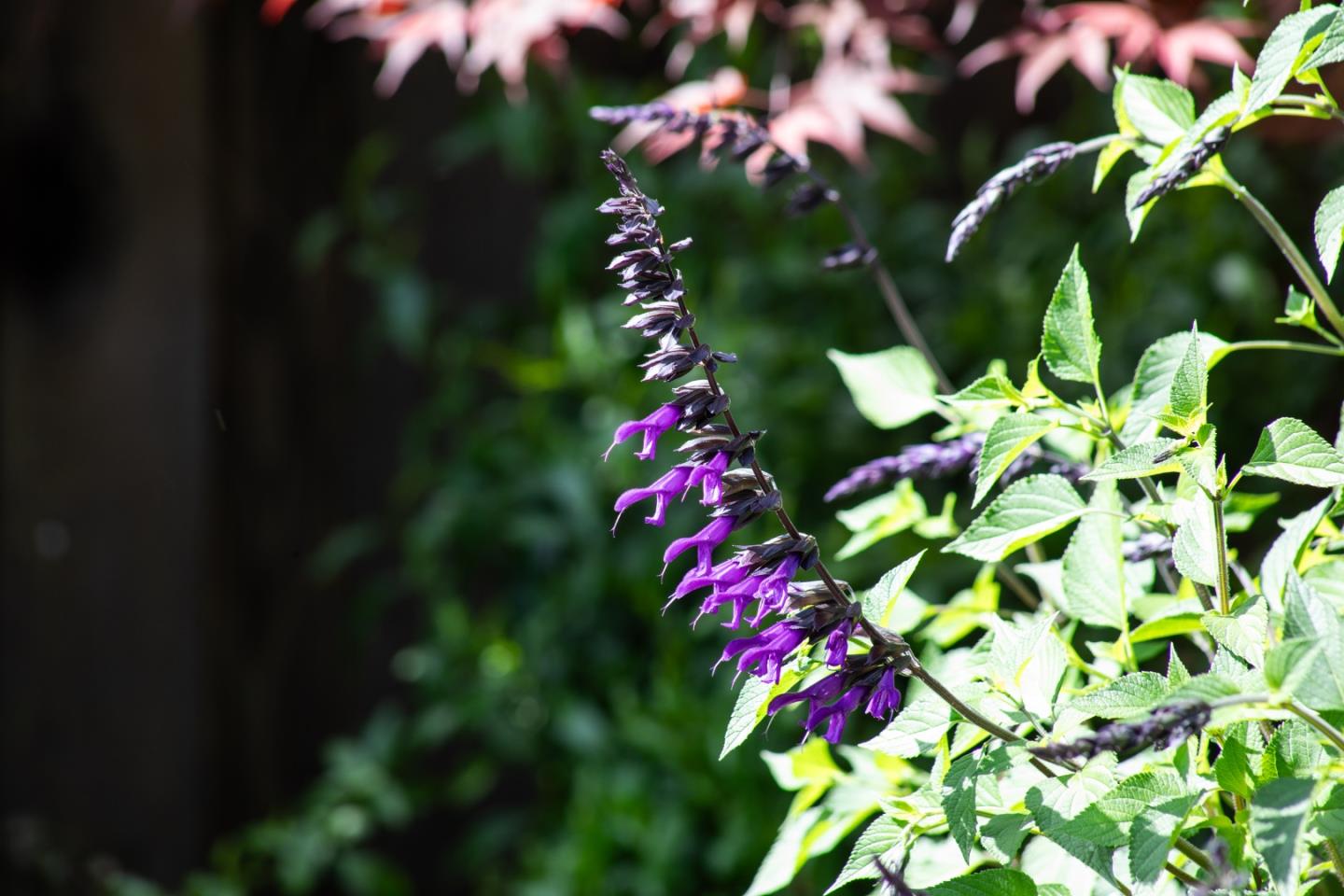 384 Hawthorne Avenue