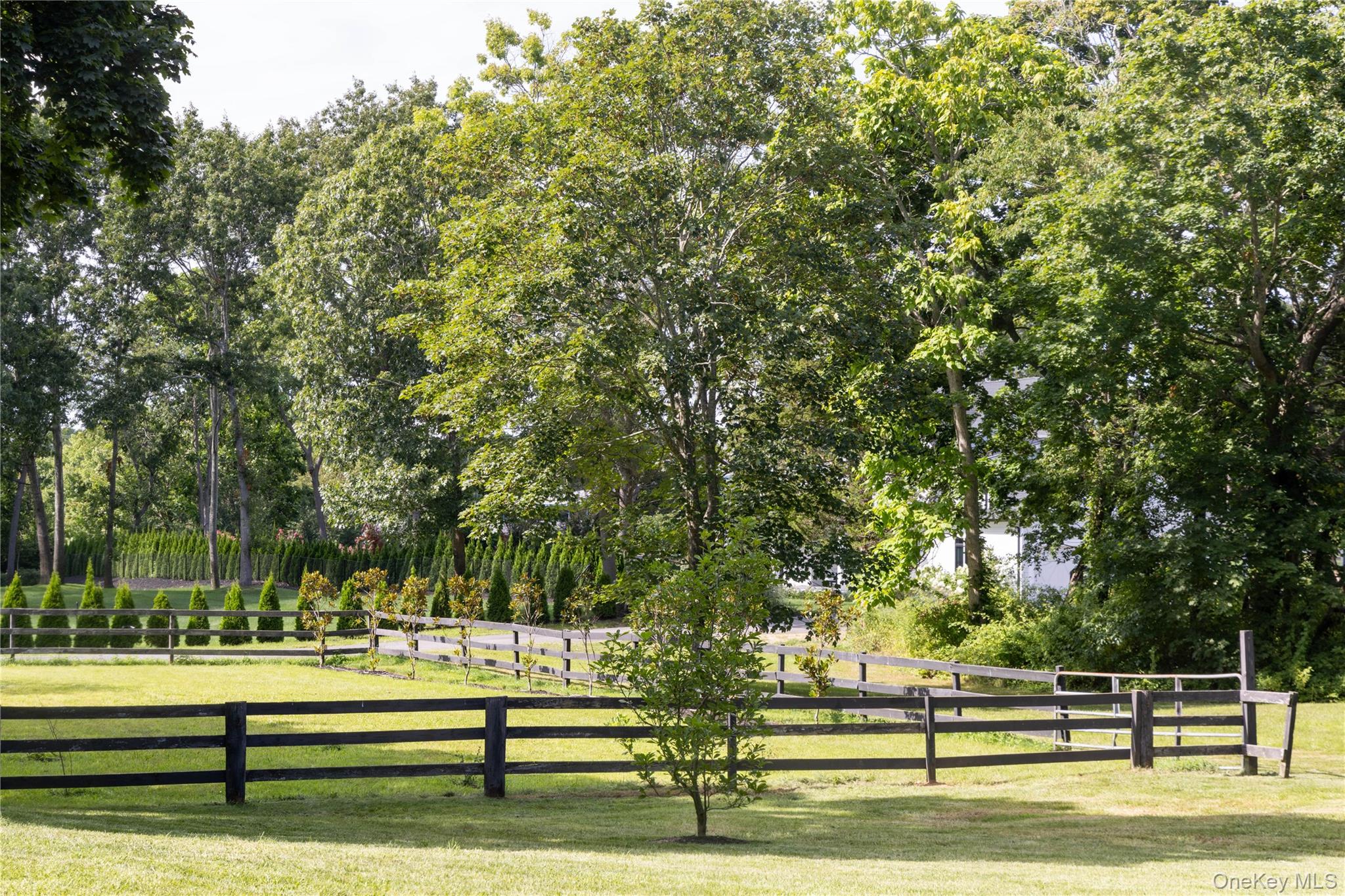184 Phillips Lane