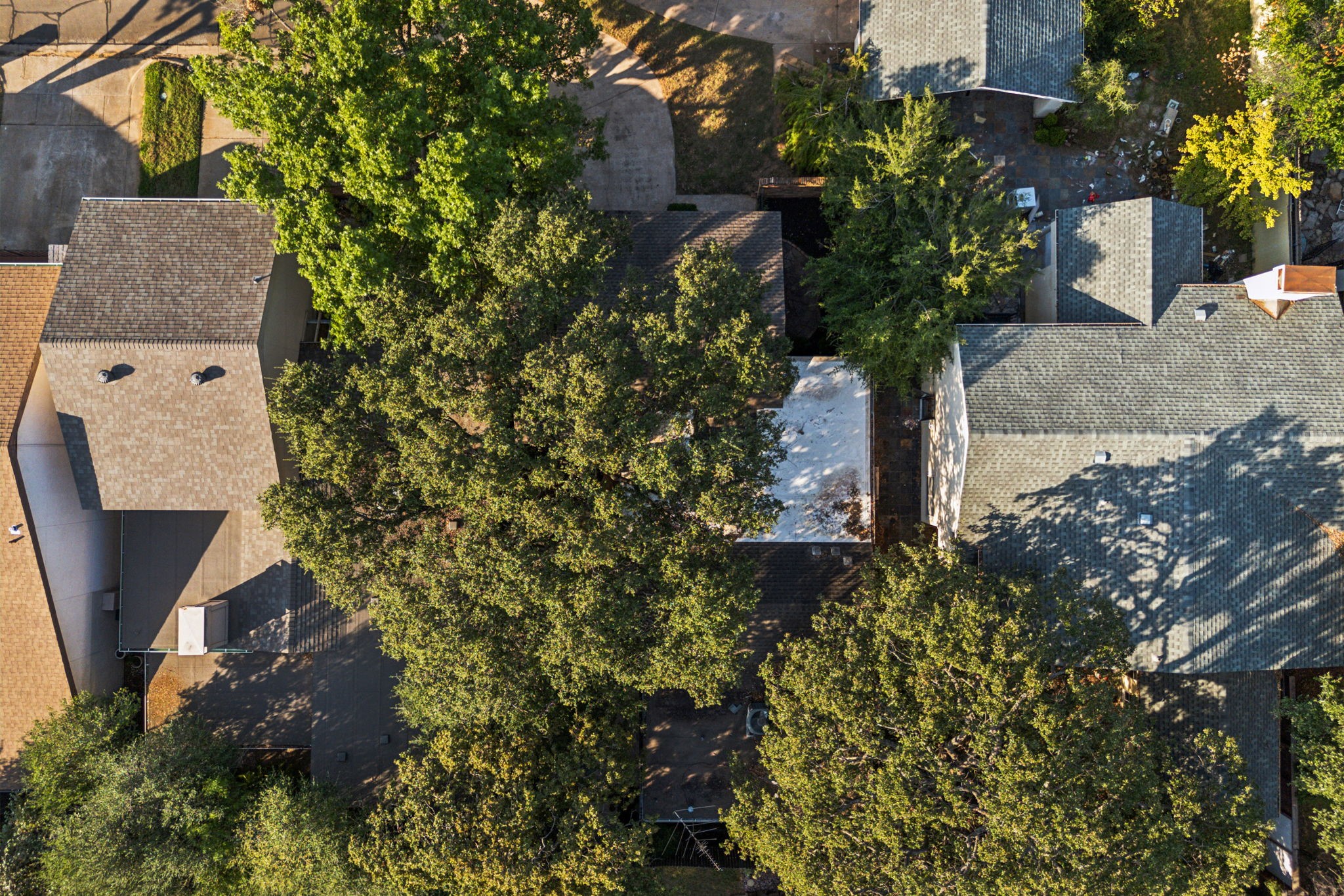 1601 Hawthorne Drive