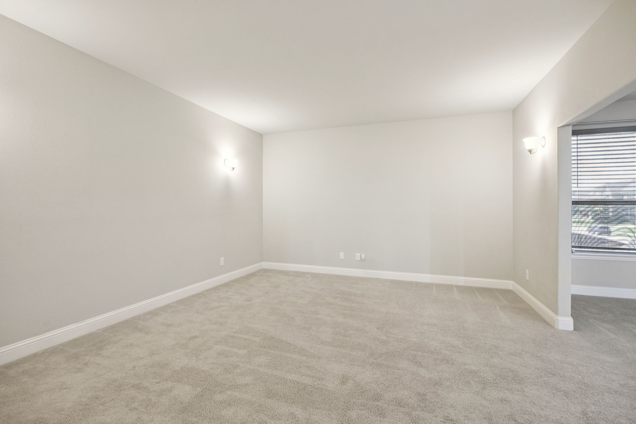 313 Silvery Pine Avenue