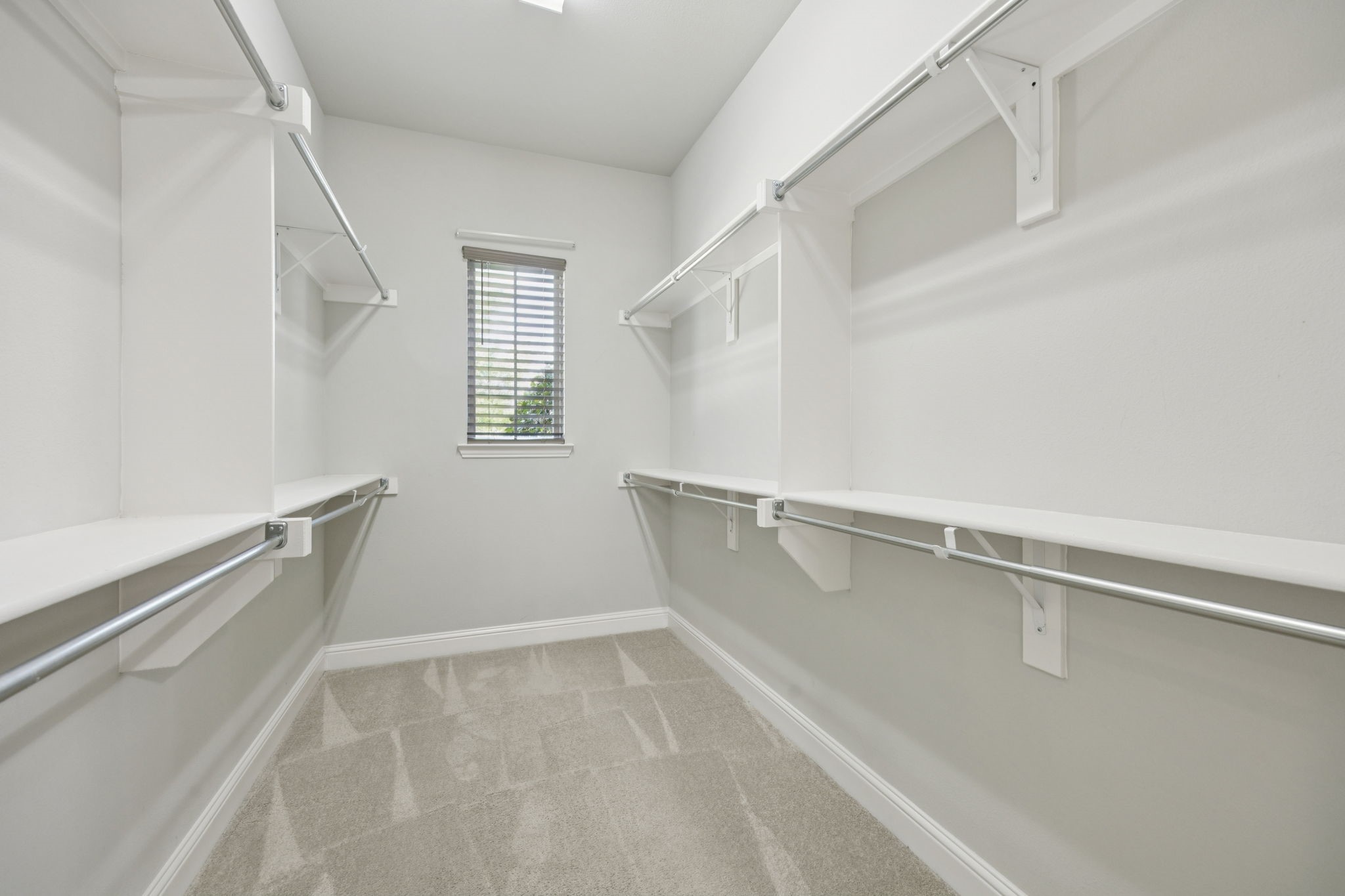 313 Silvery Pine Avenue