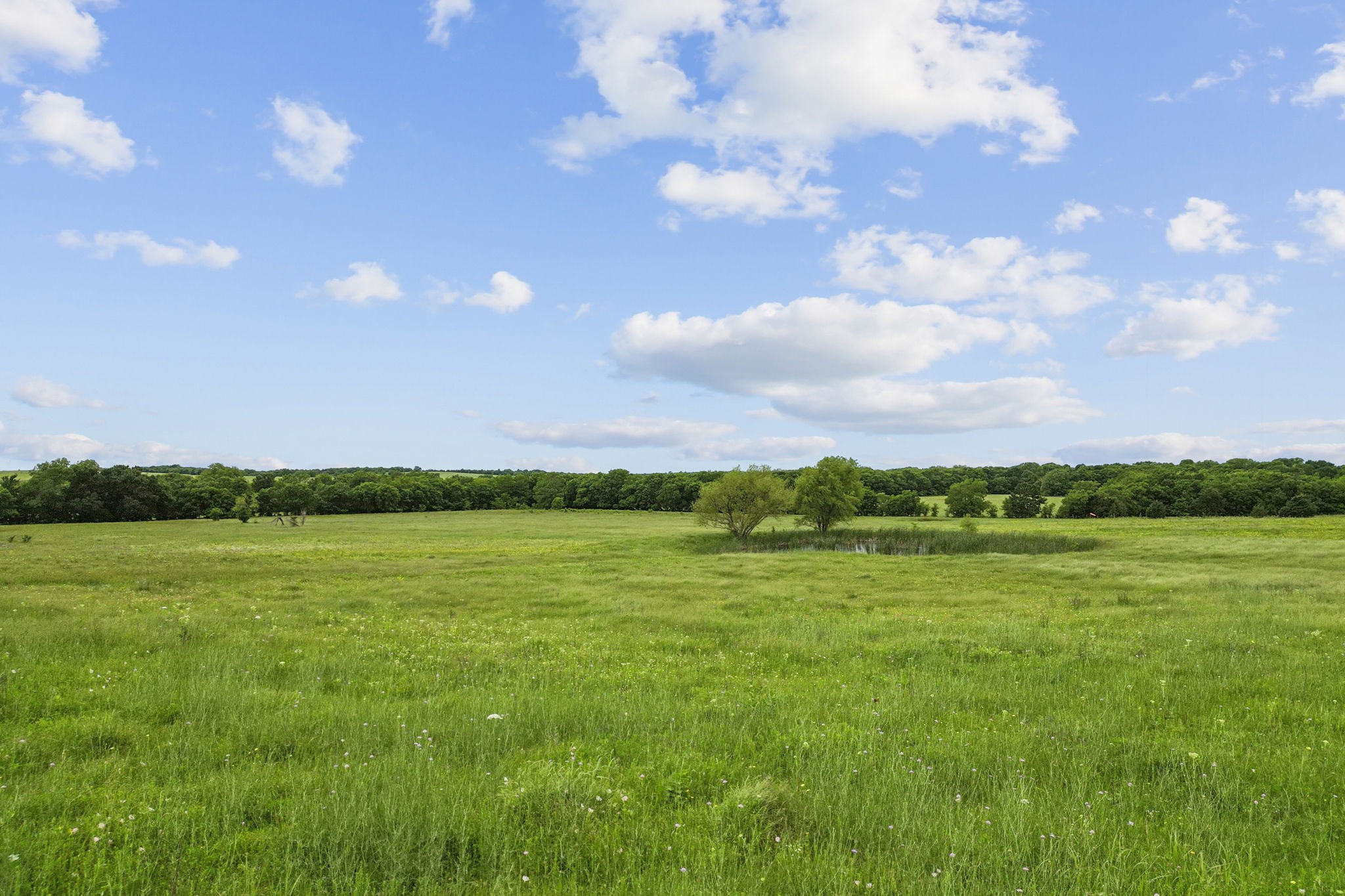 TBD Farm to Market 1562 Road