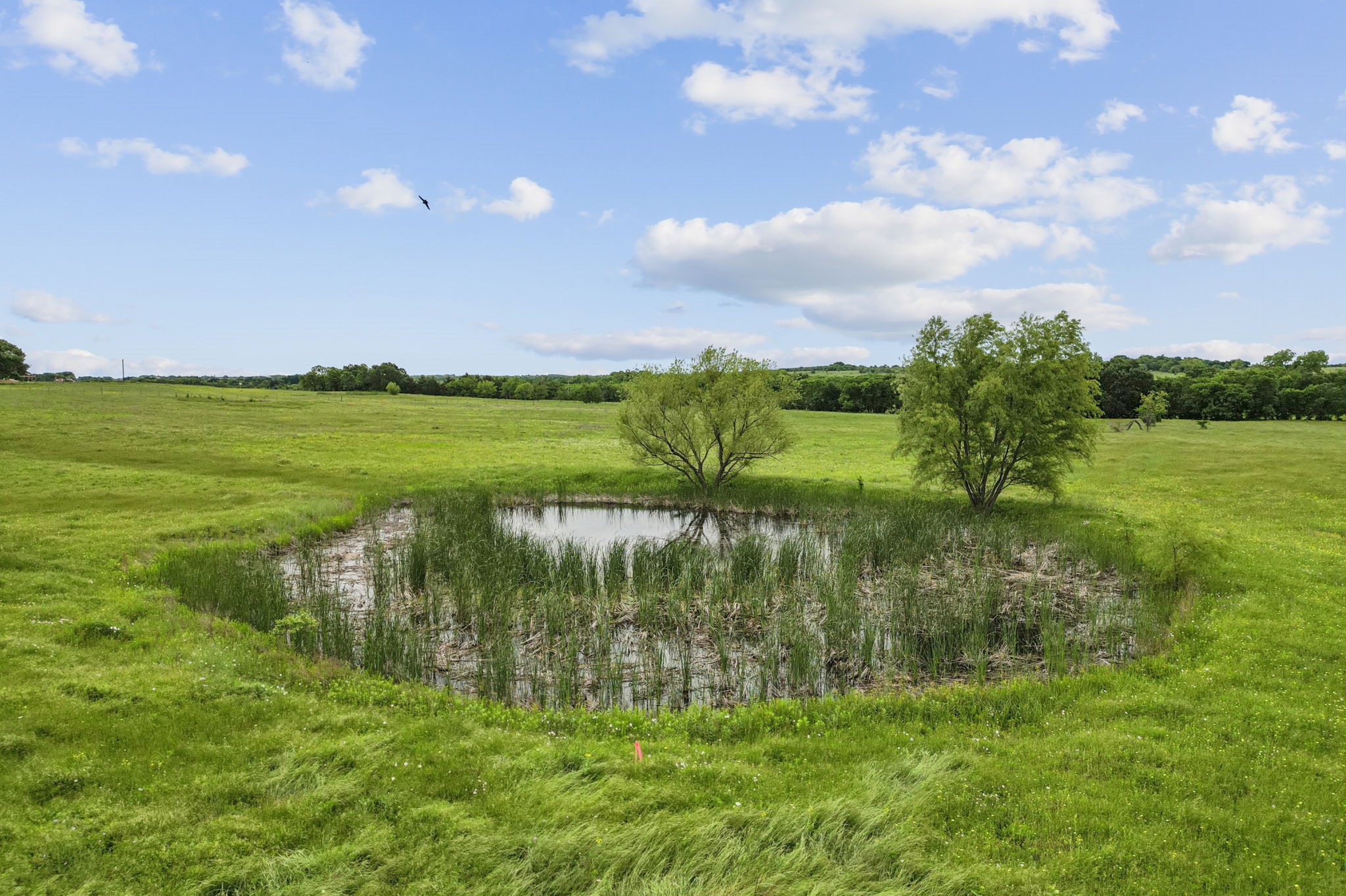 TBD Farm to Market 1562 Road