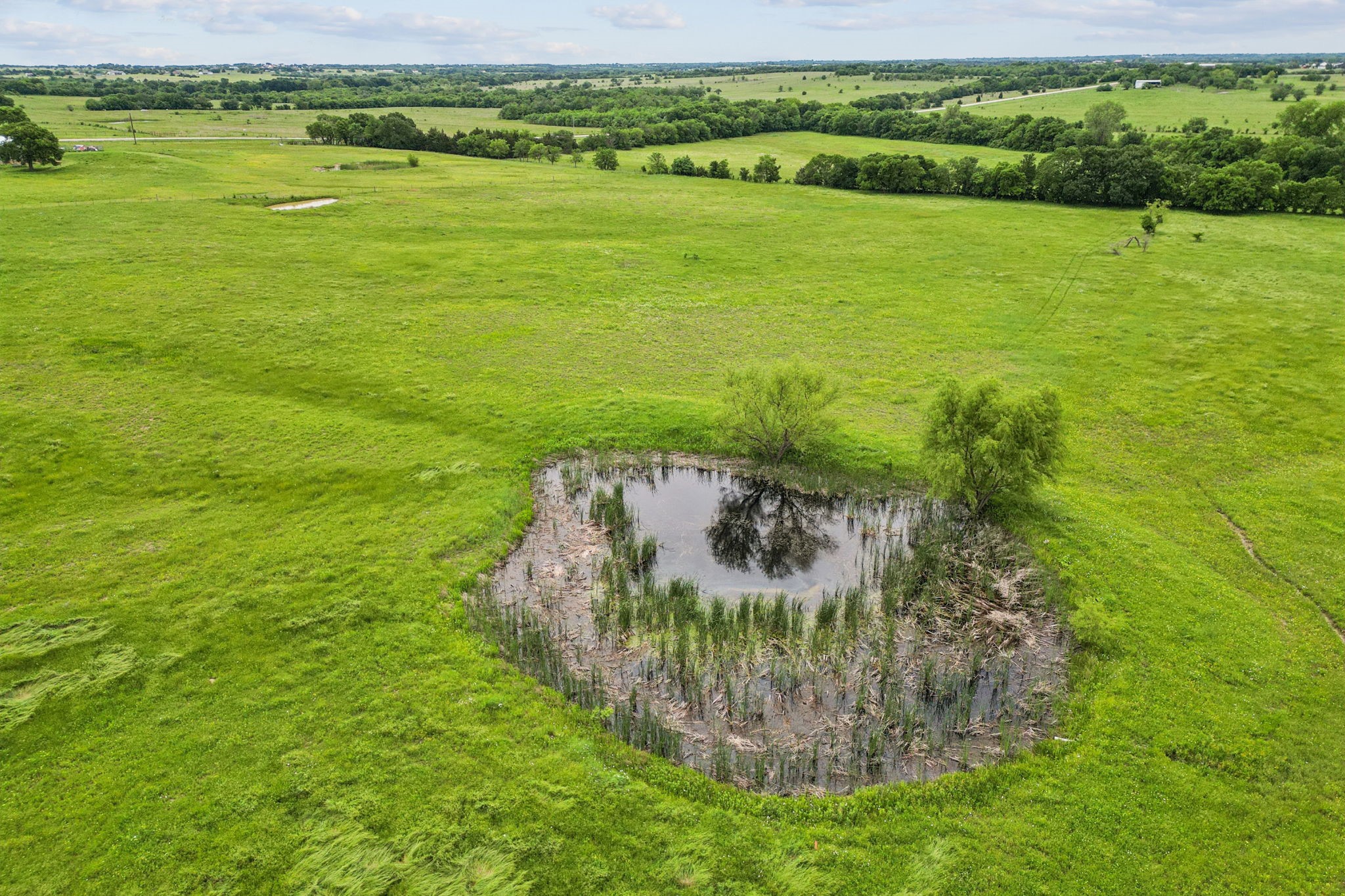 TBD Farm to Market 1562 Road