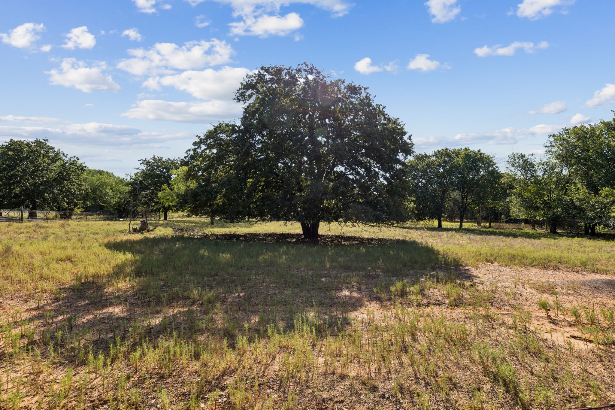 1155 Point Vista Road