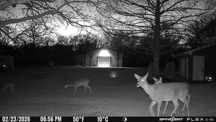 1155 Point Vista Road