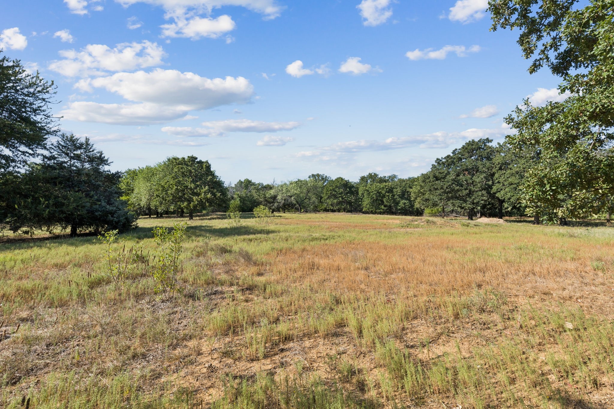 1155 Point Vista Road