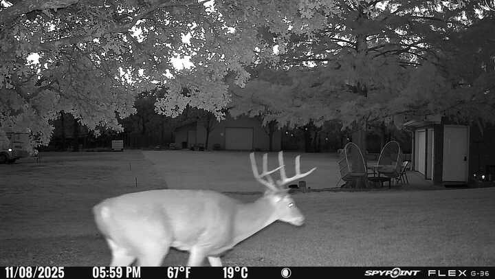 1155 Point Vista Road