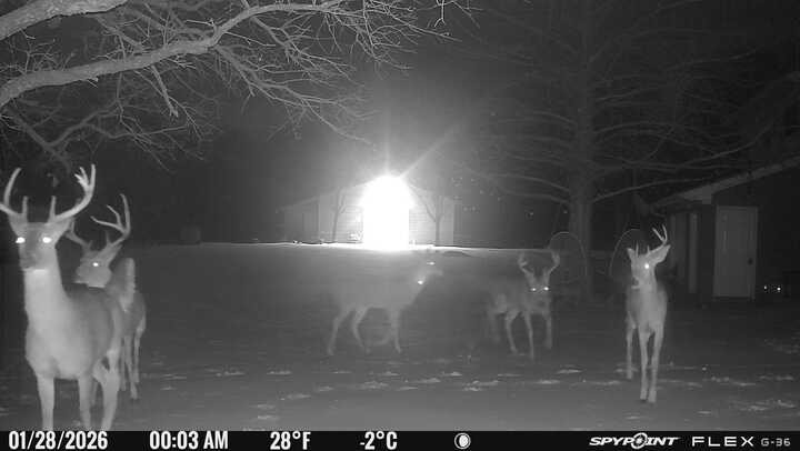 1155 Point Vista Road