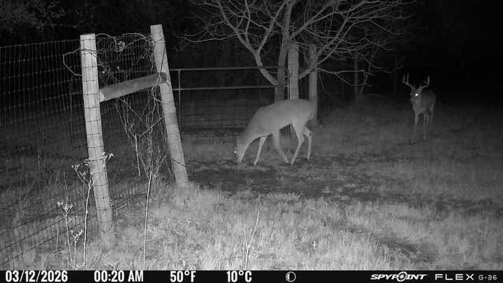 1155 Point Vista Road