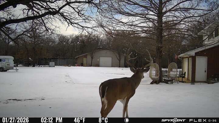 1155 Point Vista Road