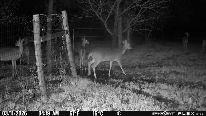 1155 Point Vista Road