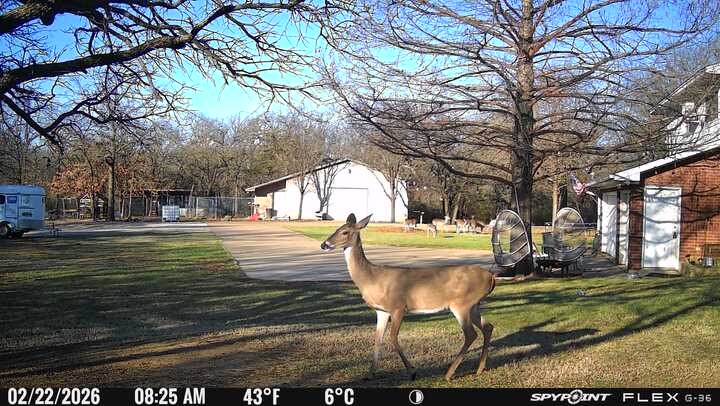 1155 Point Vista Road