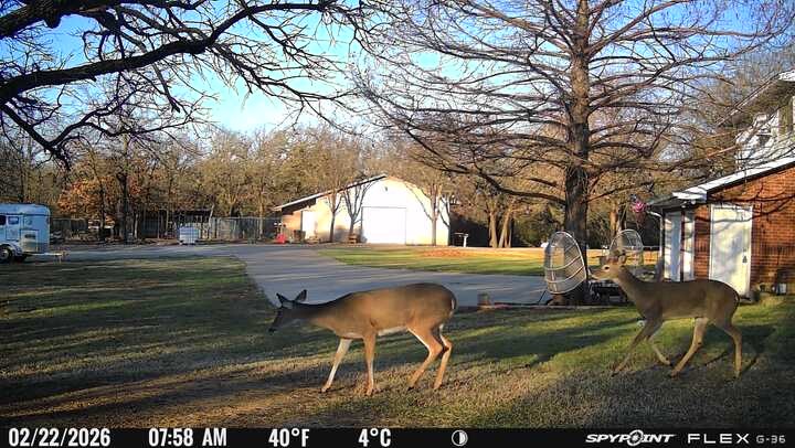 1155 Point Vista Road