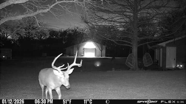 1155 Point Vista Road