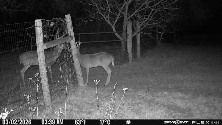 1155 Point Vista Road