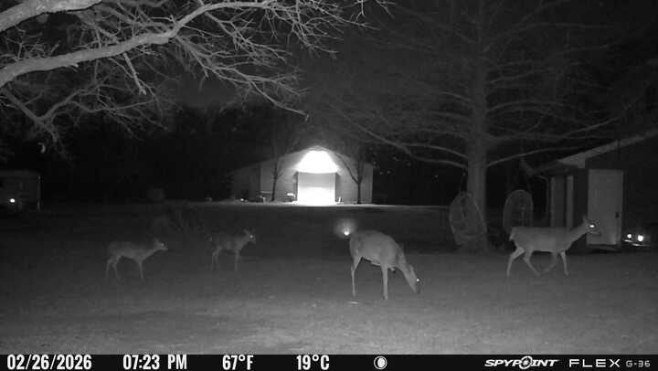 1155 Point Vista Road