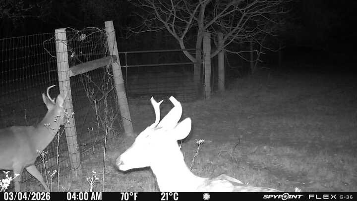 1155 Point Vista Road