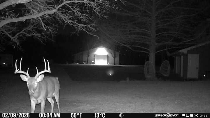 1155 Point Vista Road