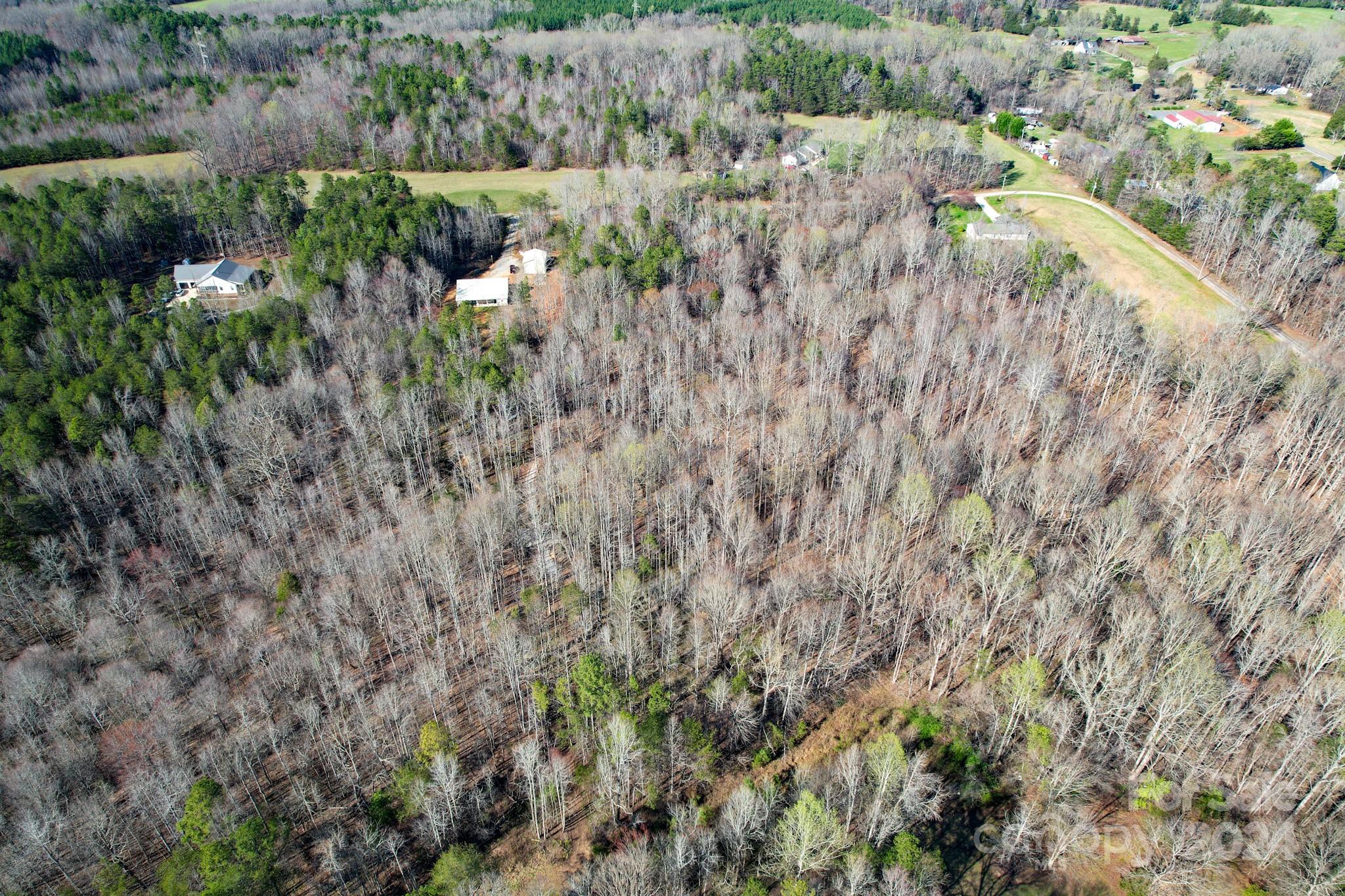 00 Hemlock Road