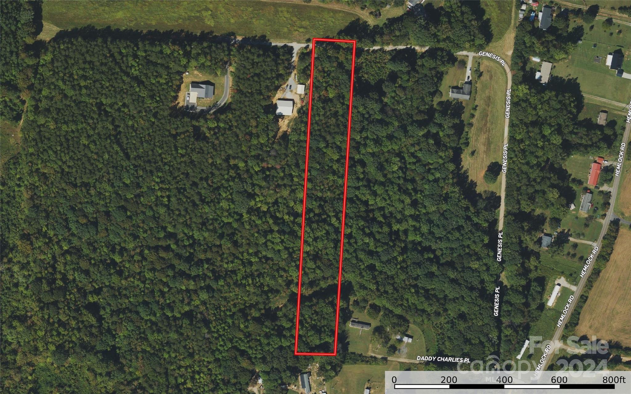 00 Hemlock Road