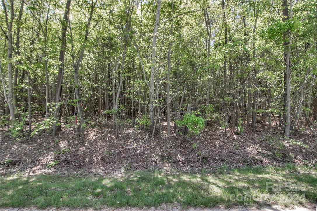 4229 Candlewood Drive Unit: 10
