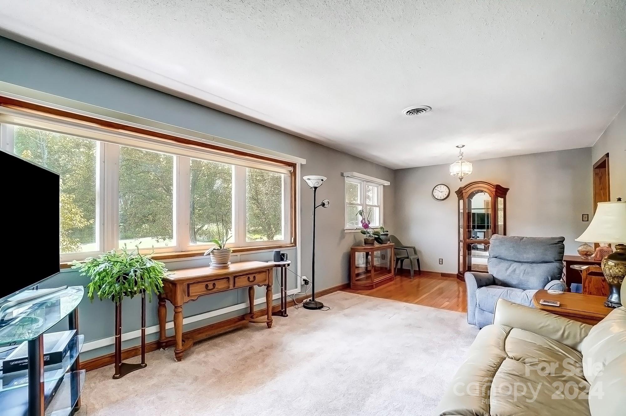 470 Alexis High Shoals Road