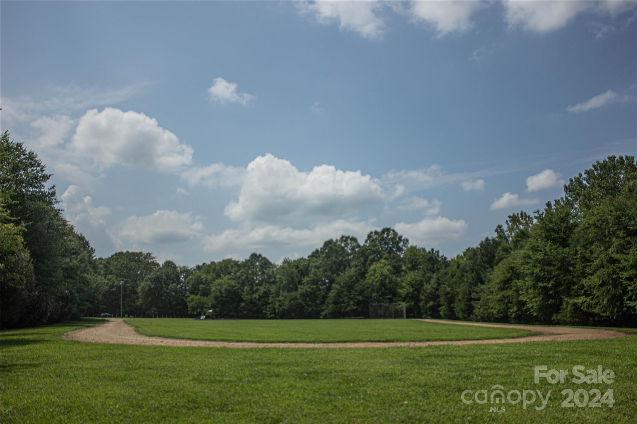 11724 Cricketfield Court