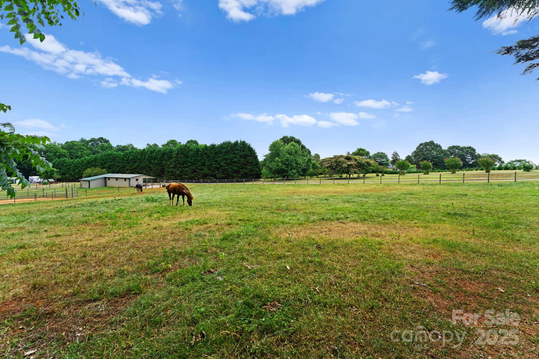 1363 John Cline Court