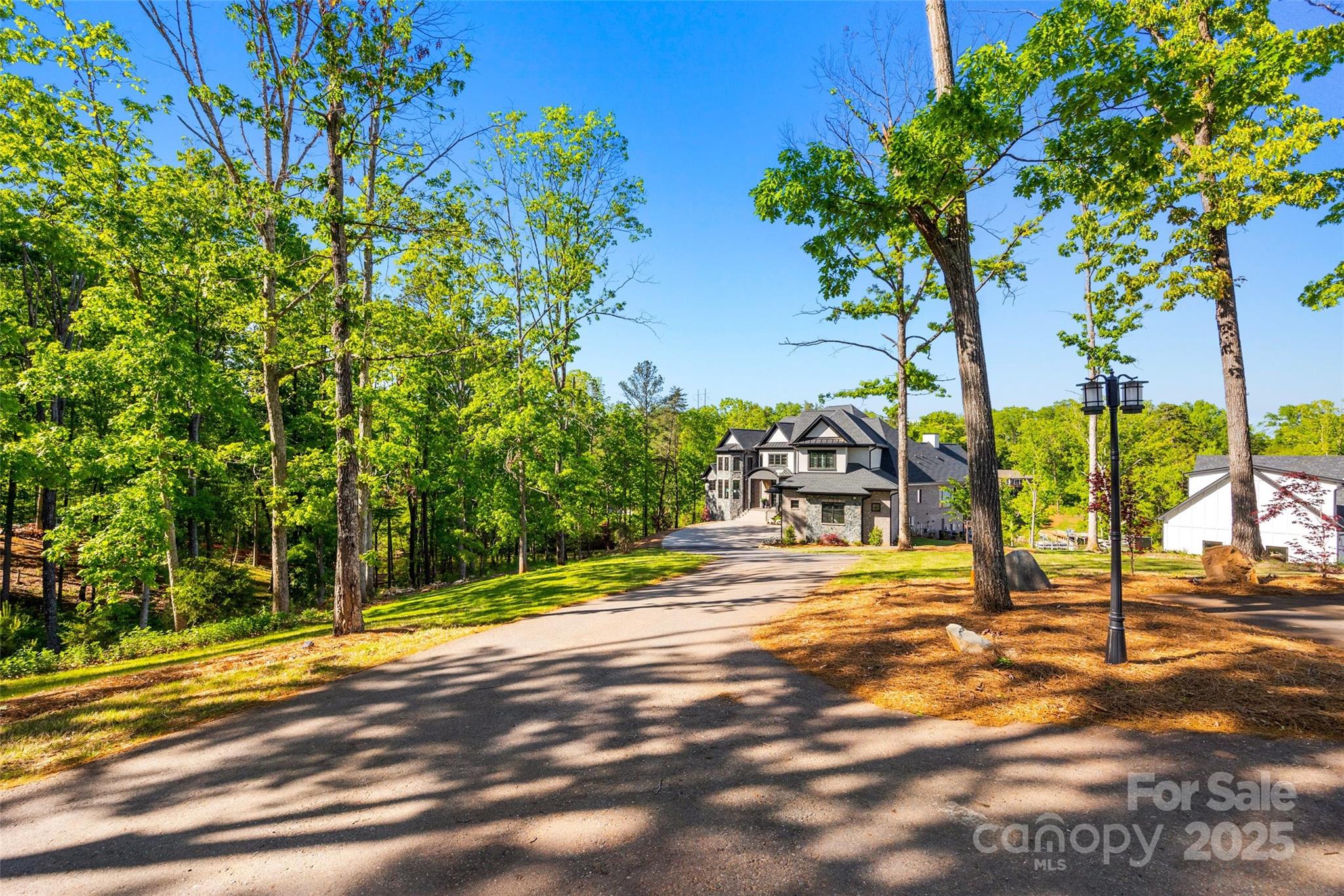 385 Squirrel Lane