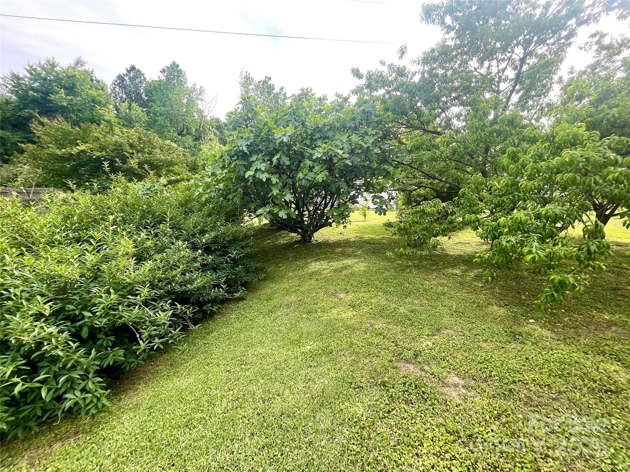 601 Scottsbrook Drive