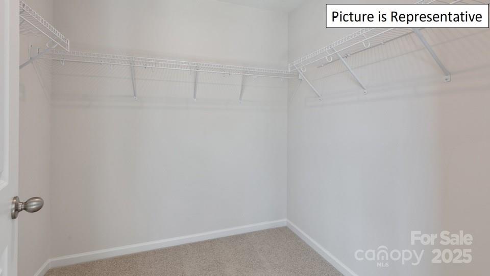 2024 Harlequin Drive