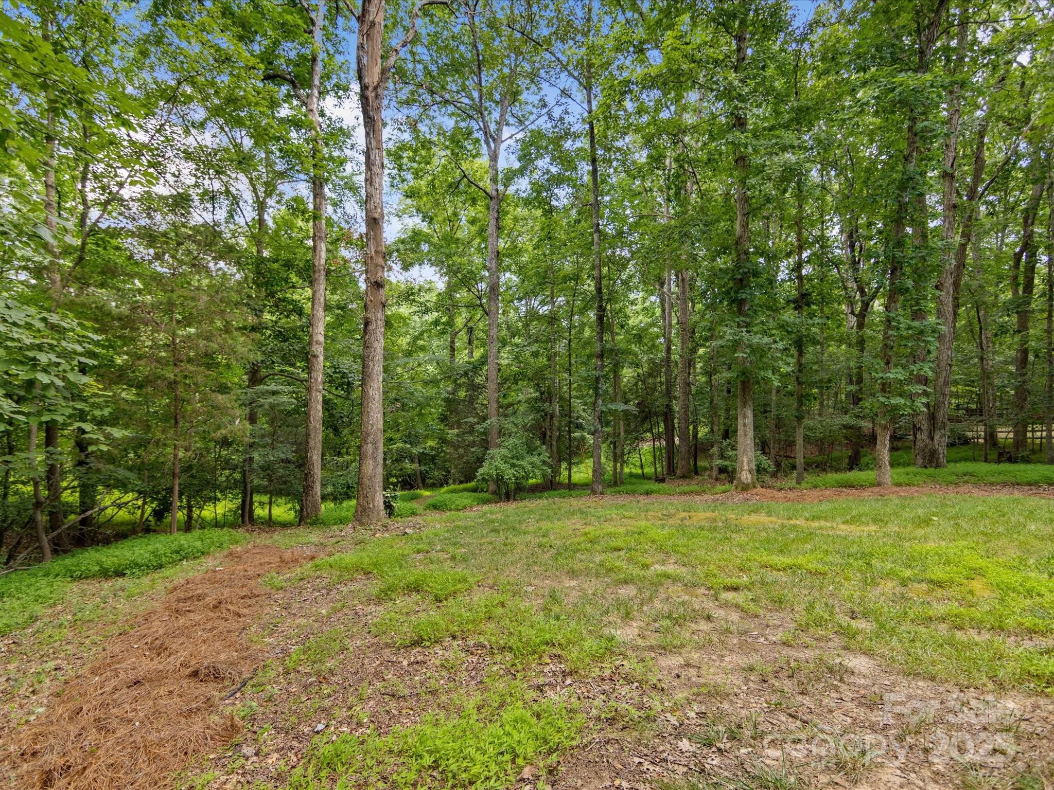 1119 Holleybank Drive