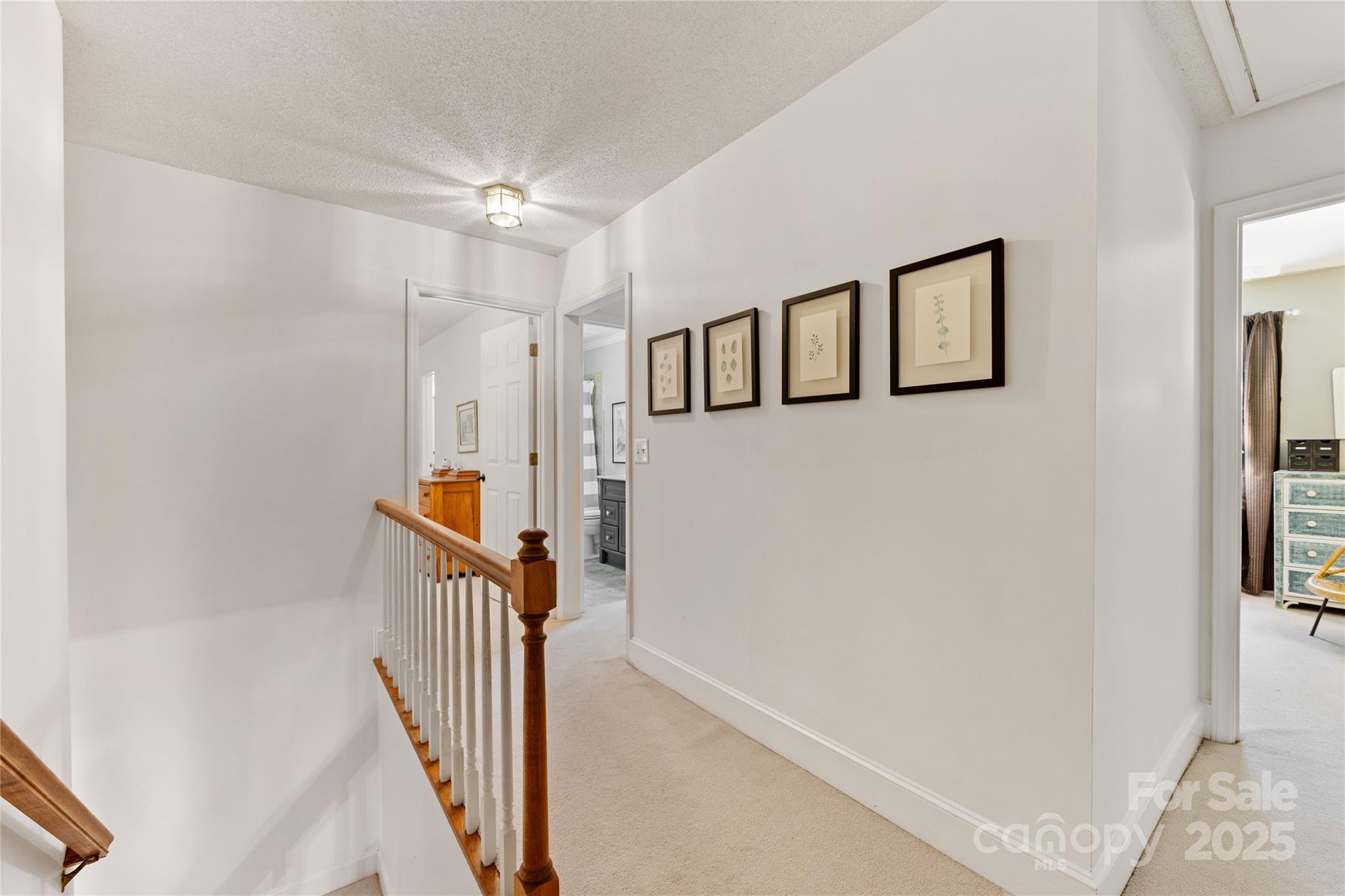 1119 Holleybank Drive