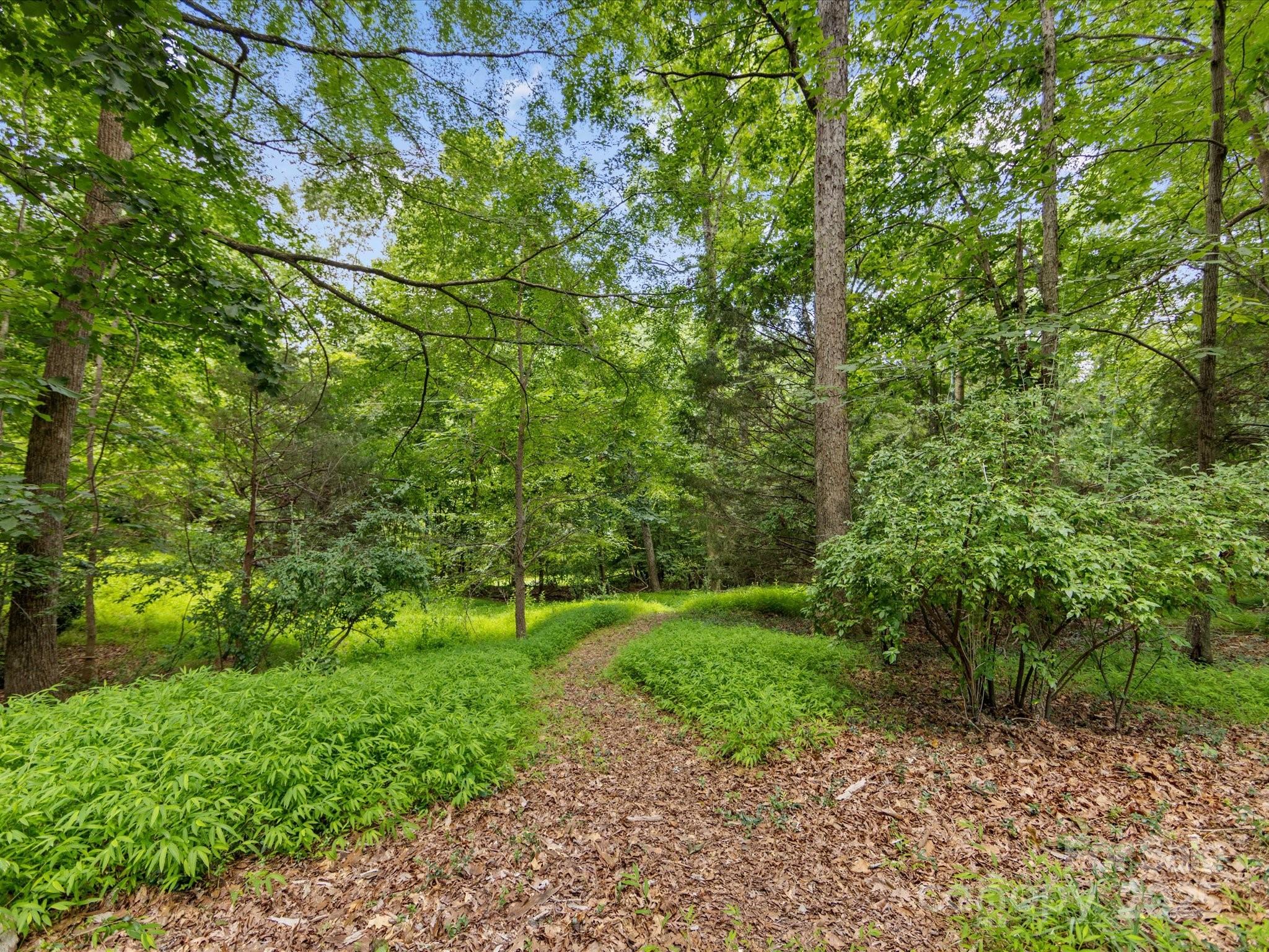 1119 Holleybank Drive