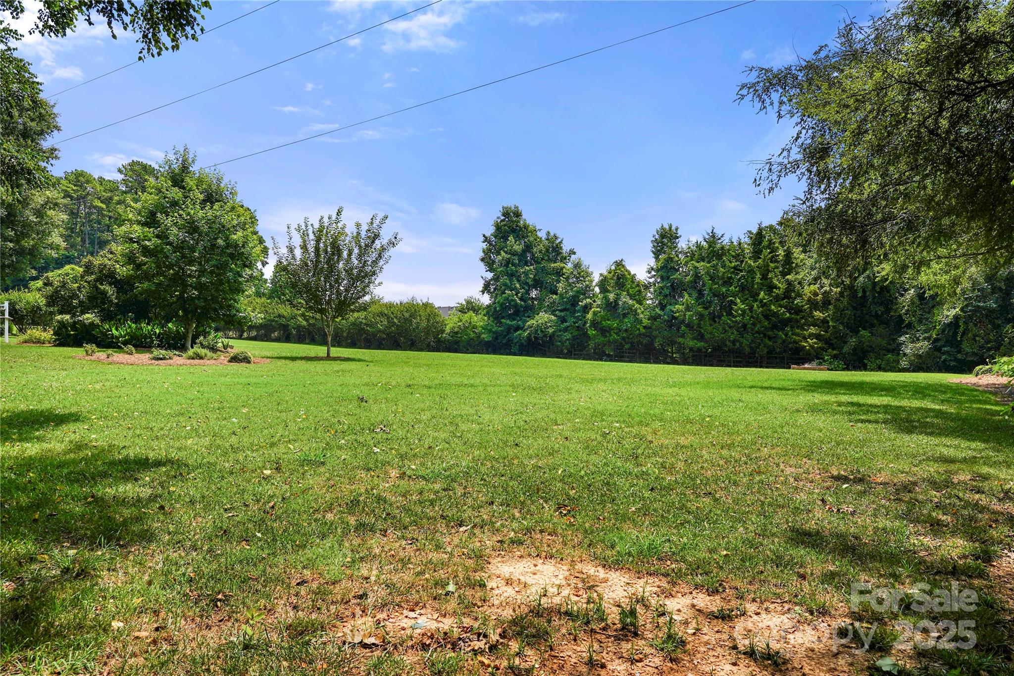 8173 Shannon Woods Lane