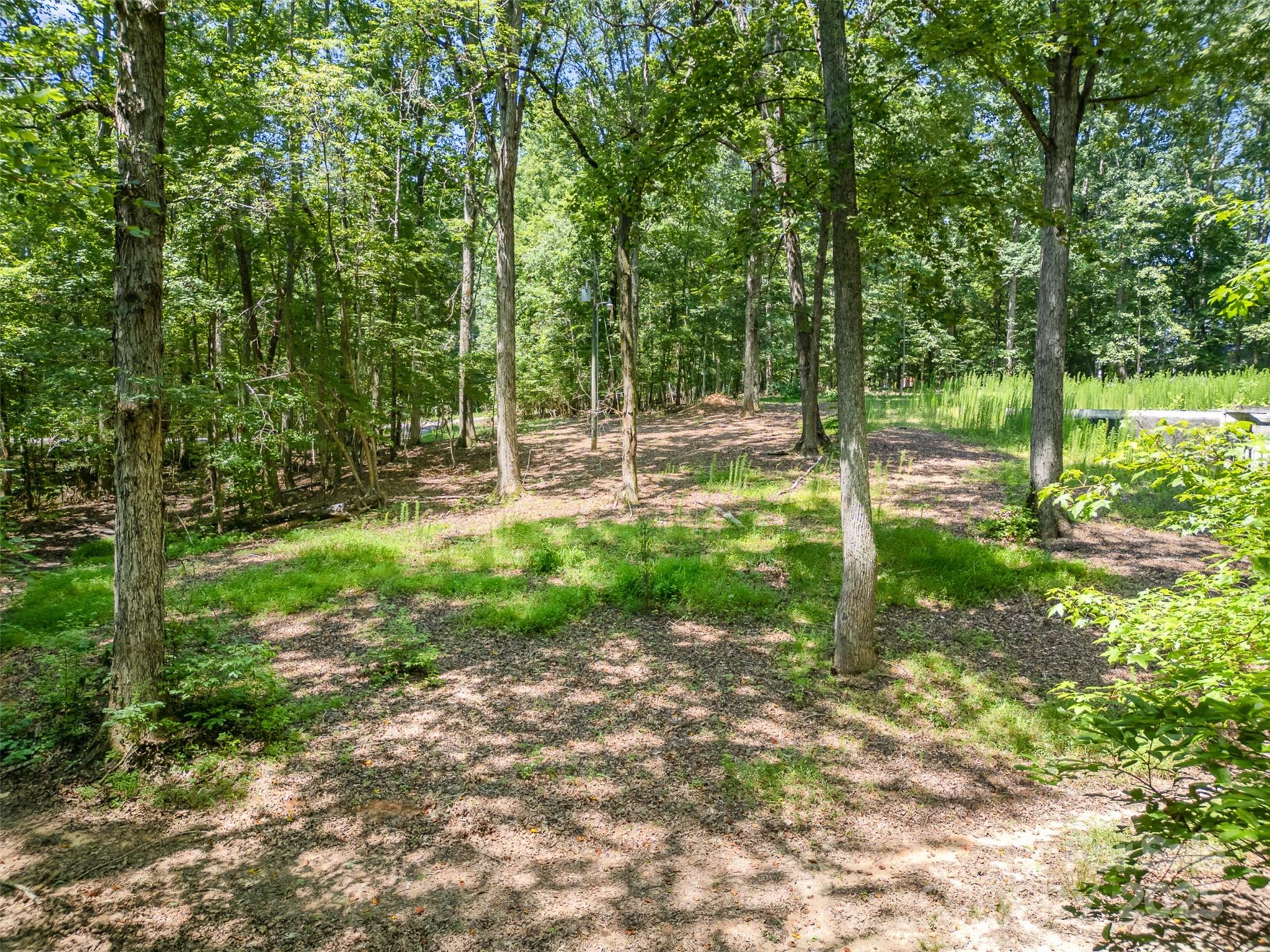 2300 Patterson Road