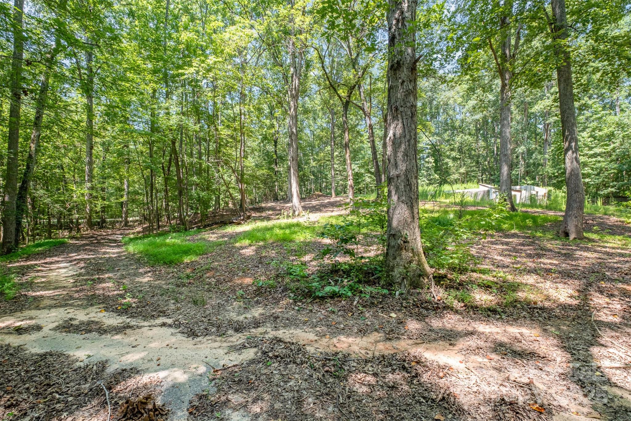 2300 Patterson Road