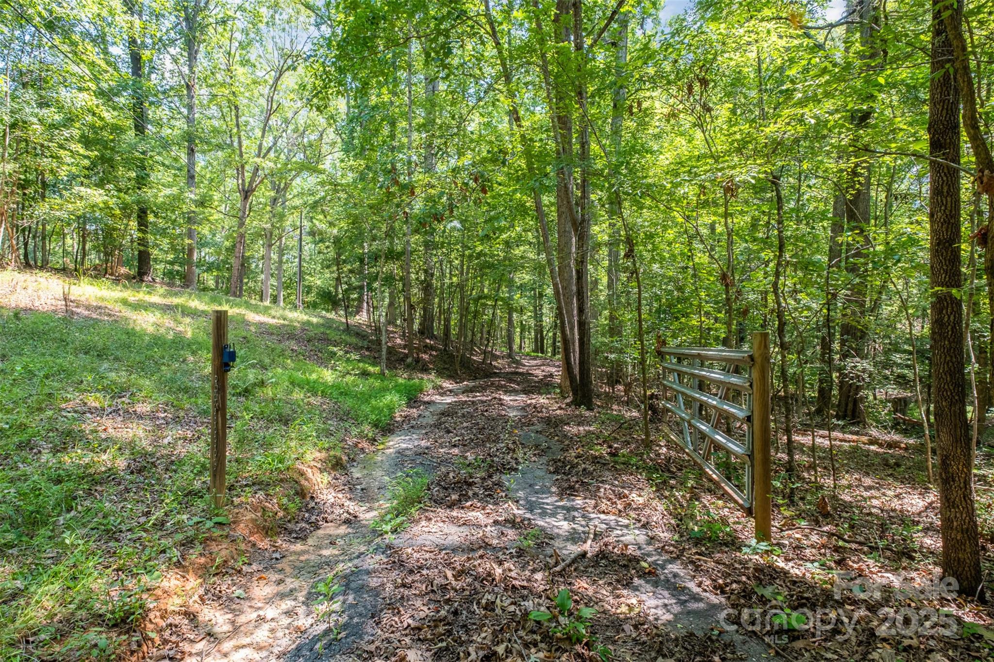 2300 Patterson Road