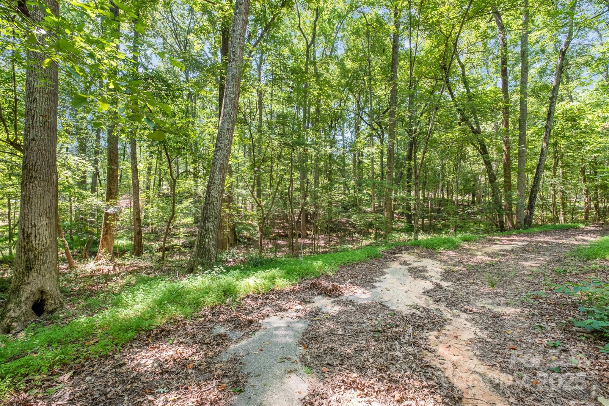 2300 Patterson Road