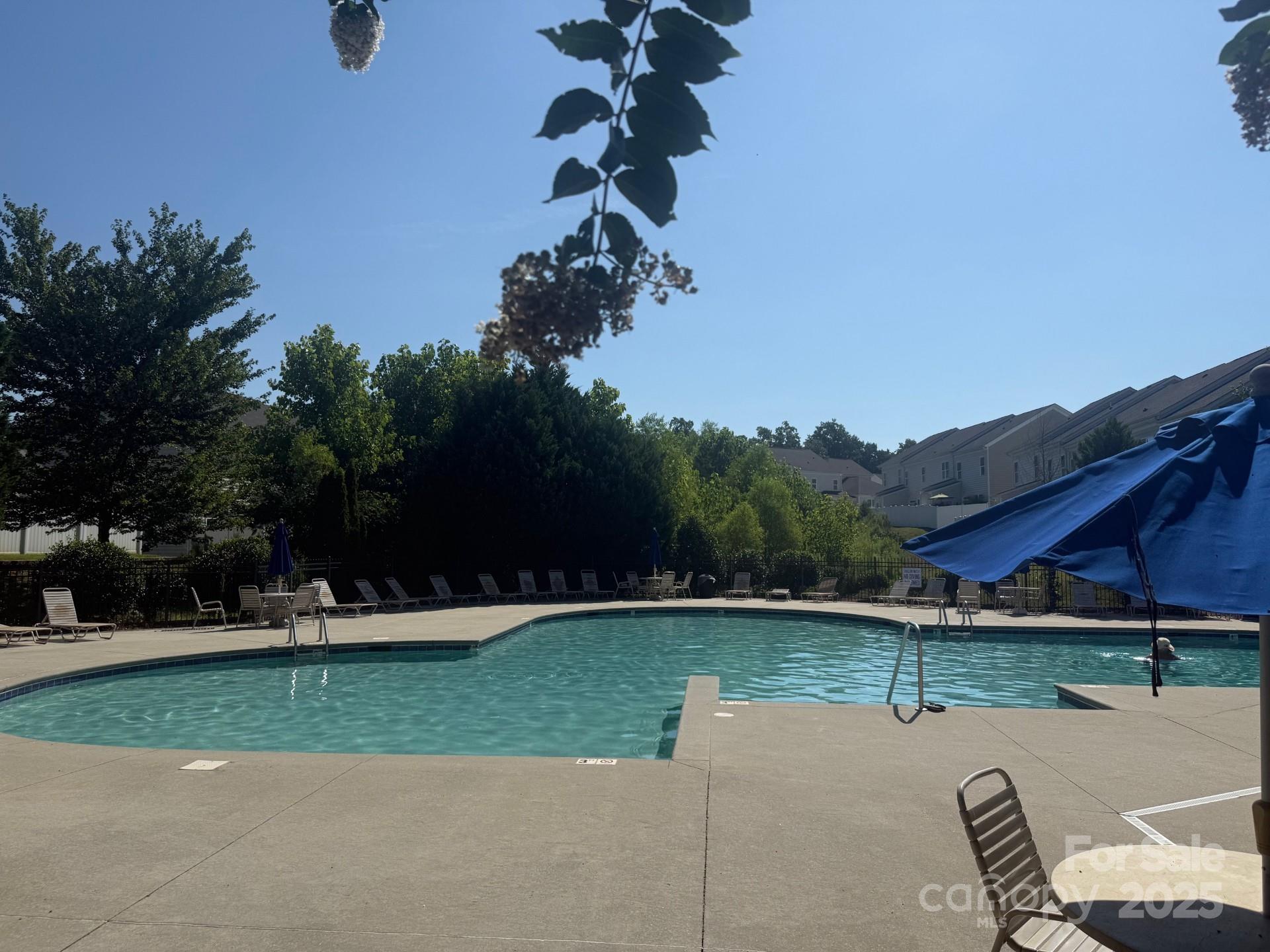 436 Spring Gardens Drive