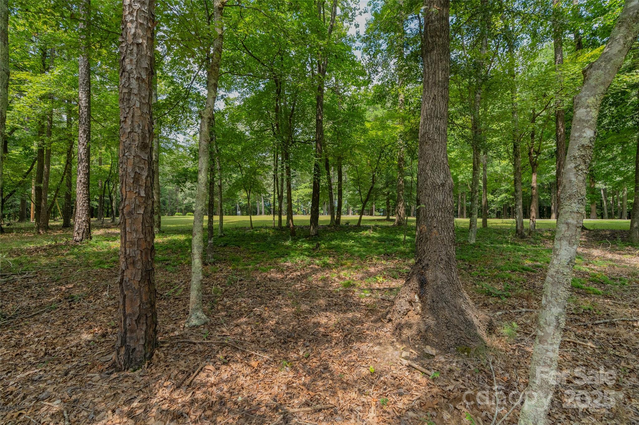 7822 Mccall Road
