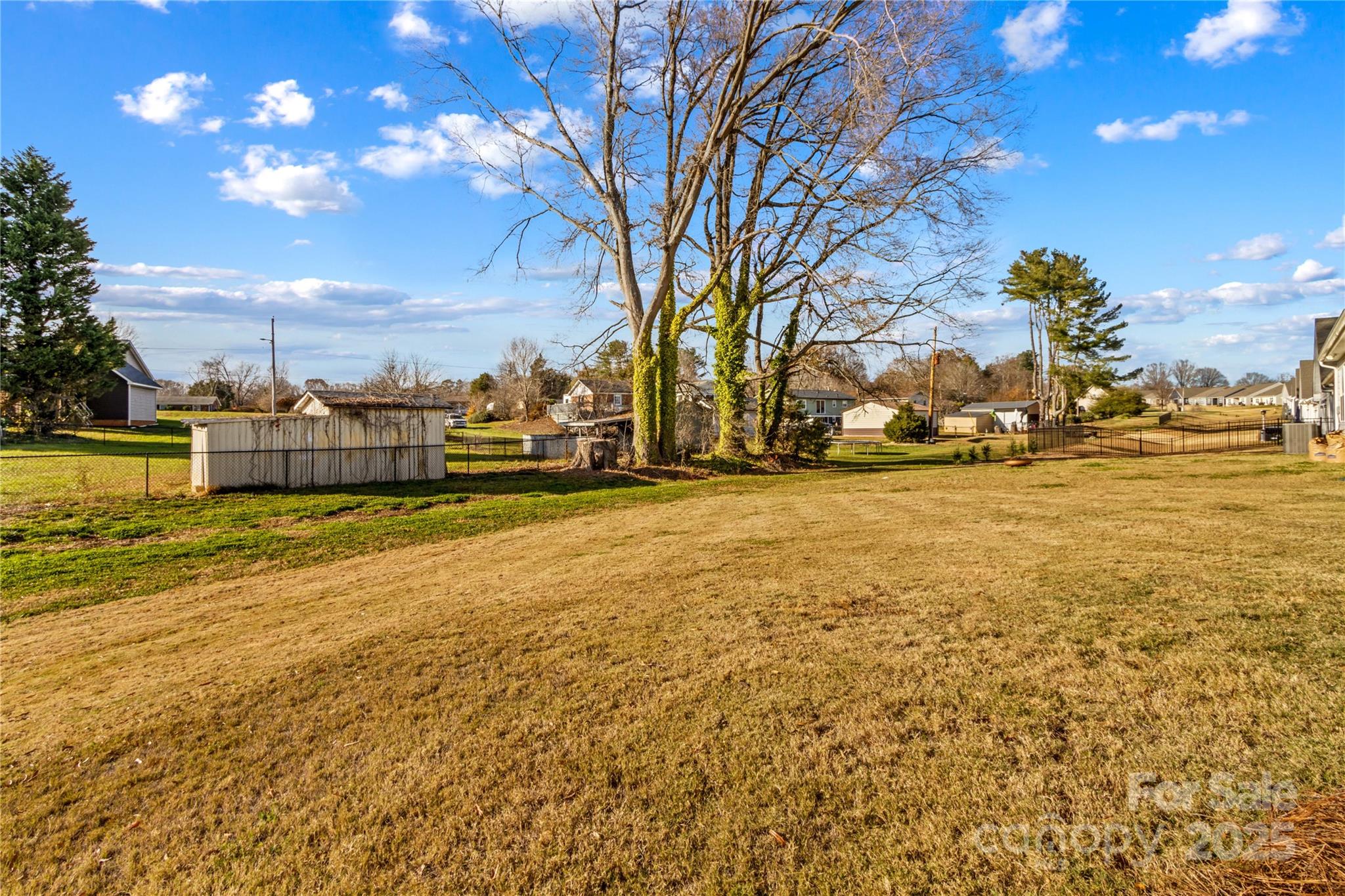 206 White Apple Way