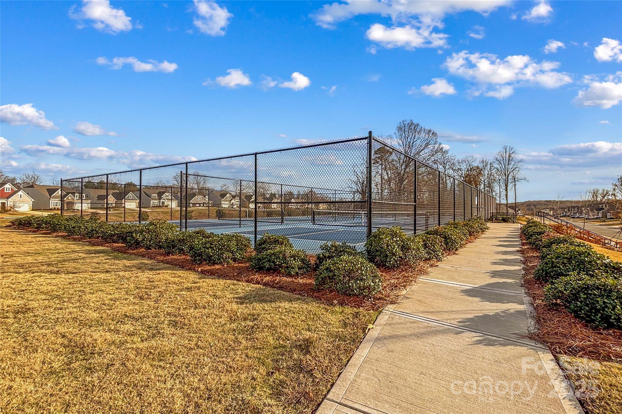 206 White Apple Way