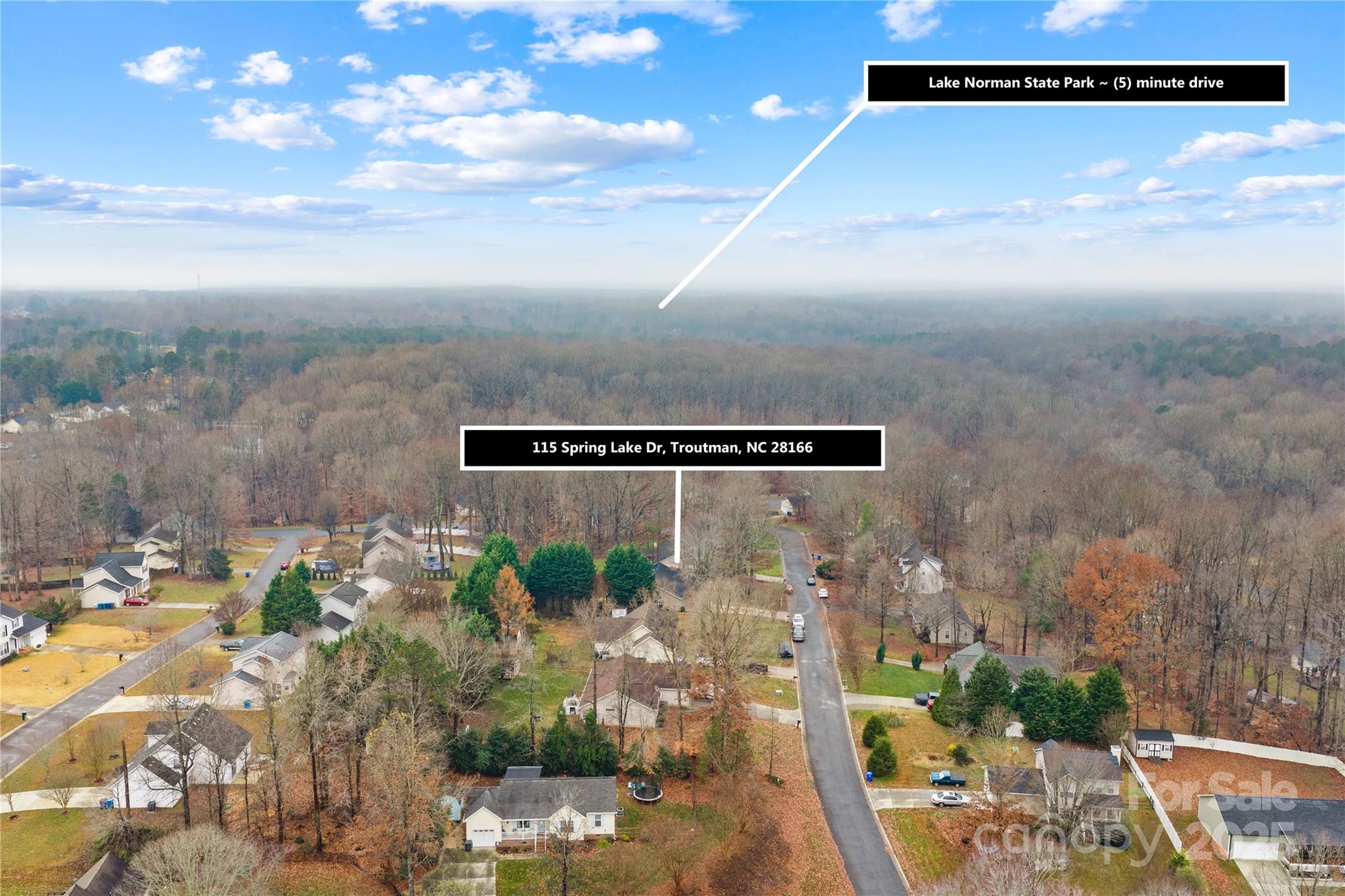 115 Springlake Drive