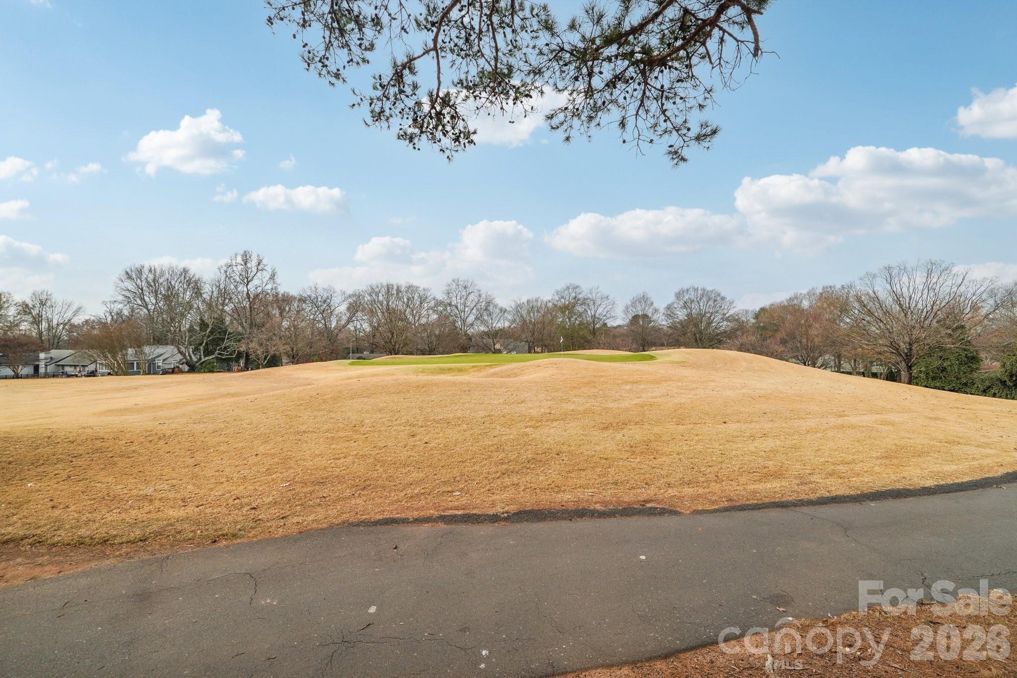 7920 Greenside Court