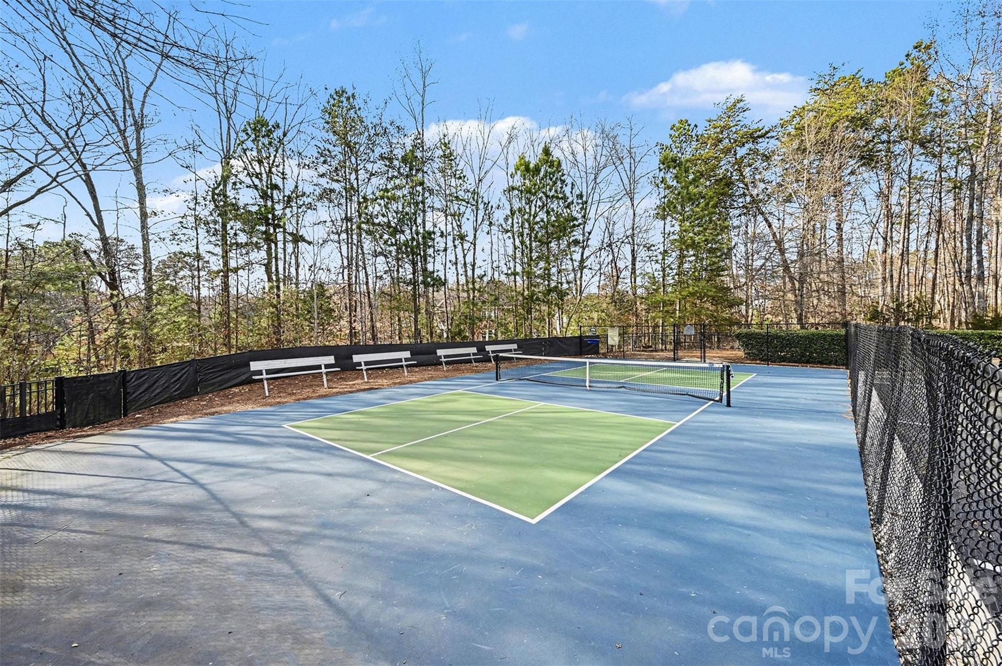 1229 Gold Rush Court